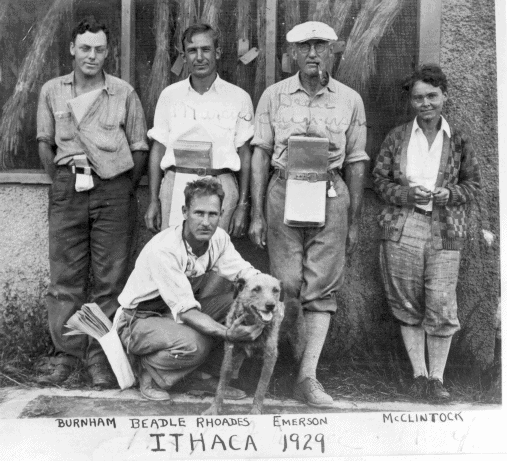 Ithaca 1929